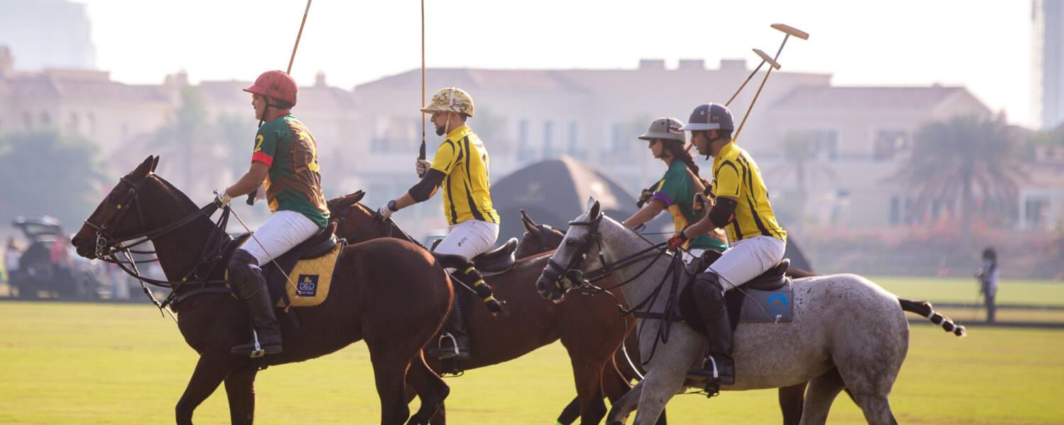 Explore Dubai’s Top Polo & Riding Club 🐎☀️🏇