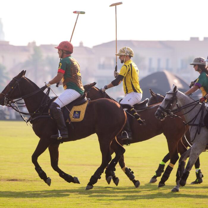 Explore Dubai’s Top Polo & Riding Club 🐎☀️🏇