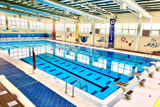 Easy Swim Academy 1